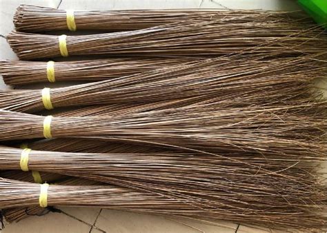 walis tingting in english